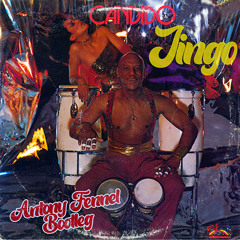 [FREE DOWNLOAD]  Candido – Jingo (Antony Fennel Bootleg)