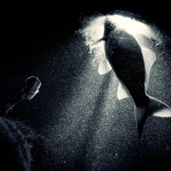 2022-05-08-zboralski-002