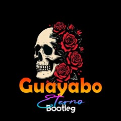Guayabo Eterno 🔥🎸 (Guaracha | Bootleg | Afro) Aleteo | Electronica Prod. Aleteo Vip x Emily Galviz