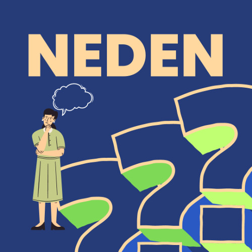 Neden - Çocuklara neden yemek baskısı yapılmamalı?