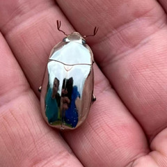 Mythicl books (prod. oemorning x TayoLoxs)