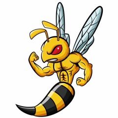 Bumble Bee Hardstyle Bootleg