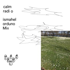 ismahel orduno's Calm Mix