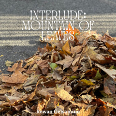 Interlude: Mountain of Leaves