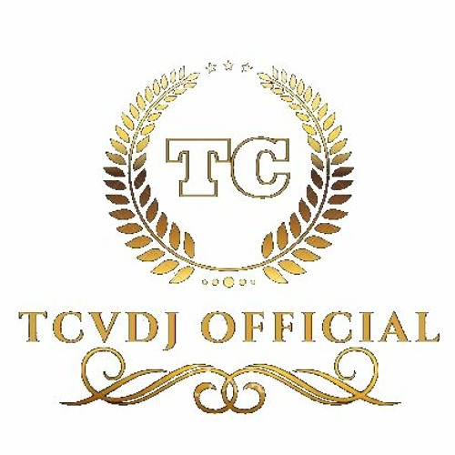 Akon - Right Now (Na Na Na)-TCVDJ Remix
