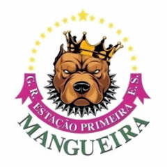 MC LEÃO - MEDLEY CRIMINOSO DA MANGUEIRA (DJ DA PUMA FEAT. DJ MARLON DA MANGUEIRA)