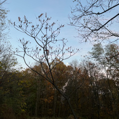 why you say that w/xobroken