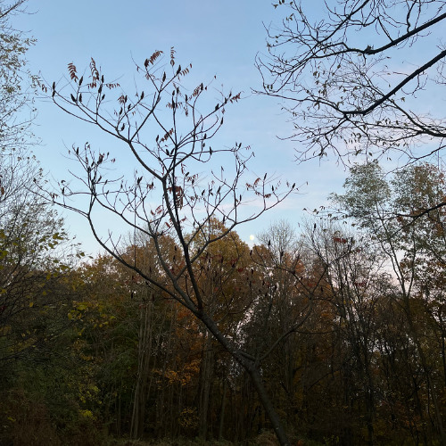 why you say that w/xobroken