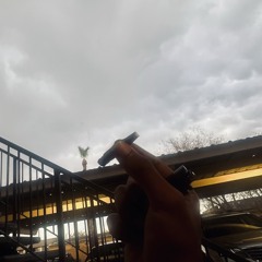 night n day.