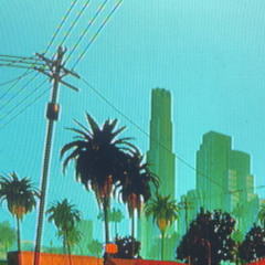 PALM TREE