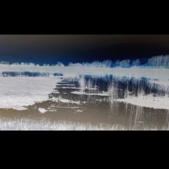 Co2: Trio for Harp-Violin and Cello