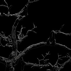 Dead Leaves