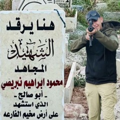 انشودة مخيم الفارعه الشهيد ( محمود  النبريصي ابو صالح )// محمد نواهضة