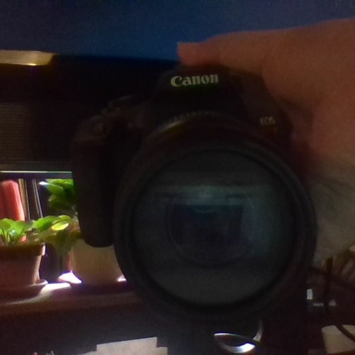 Stream got you in 4k by mr.dog Listen online for free on SoundCloud