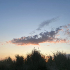 DuNEs