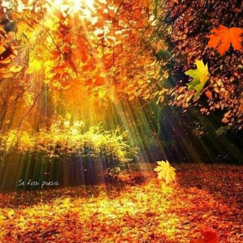 Sembafro Trip by Dj Si-Mi