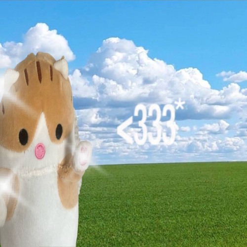 я люблю тебя