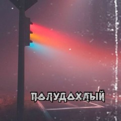 Полудохлый(Mixed by RETSKI)