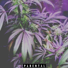 RJ feat Vincey95 - On That