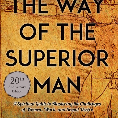 The Way of the Superior Man: A Spiritual Guide to Mastering the Challenges of Women, Work, and Sex