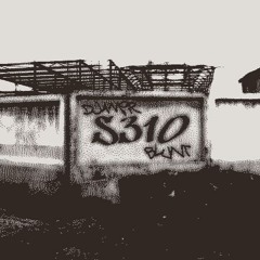S310 - PASHPART