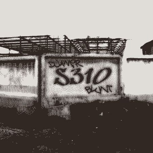 S310 X DJAMIR BLUNT STYLE - 0823 V2