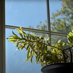 Photosynthesonic-GRC (etude)