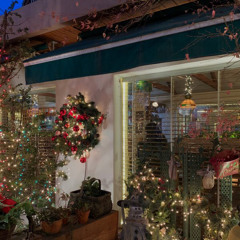 Christmas time is here - Diana Krall (cover)