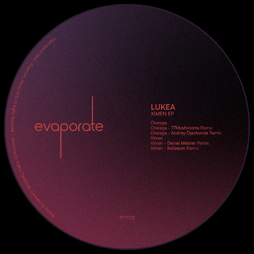 PREMIERE: Lukea - Okelega [ZFD018]