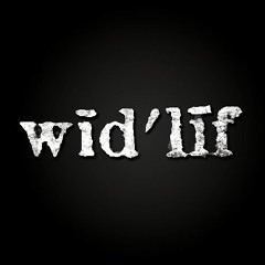 Widelife - I Dont Want You (Rafha Madrid Edit Mix)