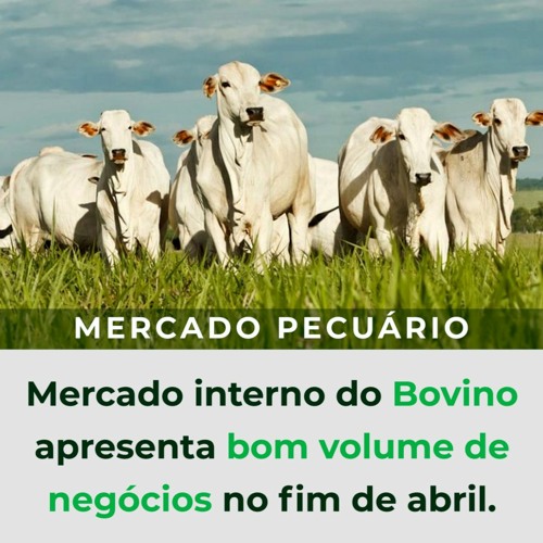 Mercado interno do Bovino apresenta bom volume de negócios no fim de abril.