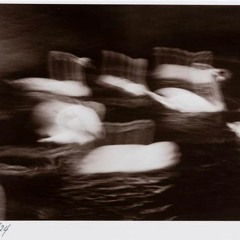 swans: blind – slow / rev. edit