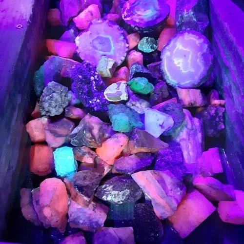 Excavation
