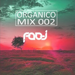 DJ FADI - ORGANICO MIX 002