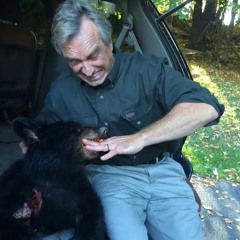 856 - Bear Market feat. Jeff Stein (8/5/24)