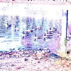 im_lame (prod. wild)