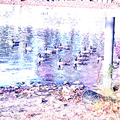 im_lame (prod. wild)