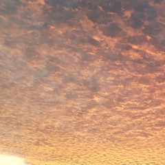 𝑙𝑜𝑓𝑖 & 𝑠𝑎𝑑 𝑚𝑢𝑠𝑖𝑐𝑠␈