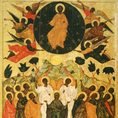 What On Earth Are We Doing In Heaven?  Worship above and below - Fr. Michael Flowers 10.19