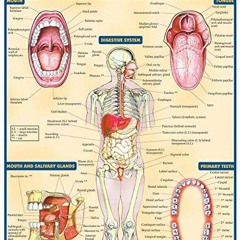 View [EPUB KINDLE PDF EBOOK] Digestive System (Quick Study Academic) by  Inc. BarChar