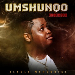 Uphetheni Esandleni (feat. Sizwe Mdlalose, Assiye Bongzin & DJ Tira)