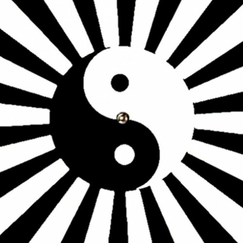 12 - 05 kiwi 20 - 3 YIN-yAN