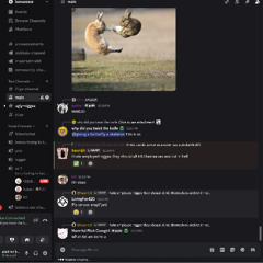 join my server
