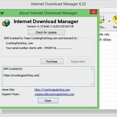 Internet Download Manager 6.35 Build 3 Final (SUPER-CLEAN) WORK