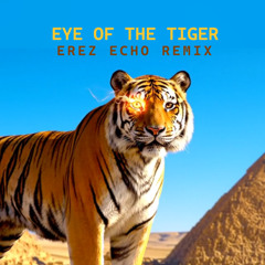 Survivor - Eye Of The Tiger (Erez Echo Remix)