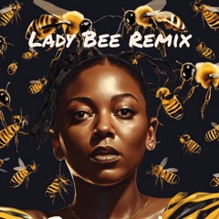 Bitch, Don't kill my vibe (Lady Bee Chill Remix)