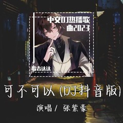 张紫豪 - 可不可以 (DJ抖音版) 「只愿意和你永远不分离」【動態歌詞/pīn yīn gē cí】