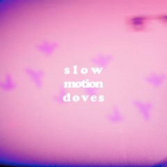 Slow Motion Doves
