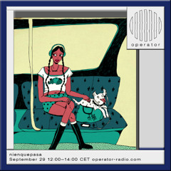 nienquepasa - 29th September 2025