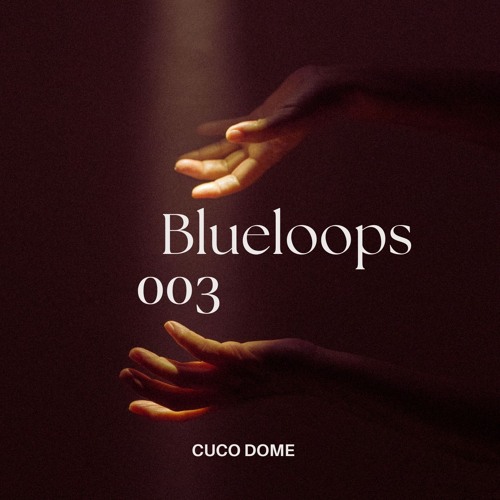 BLUELOOPS 003